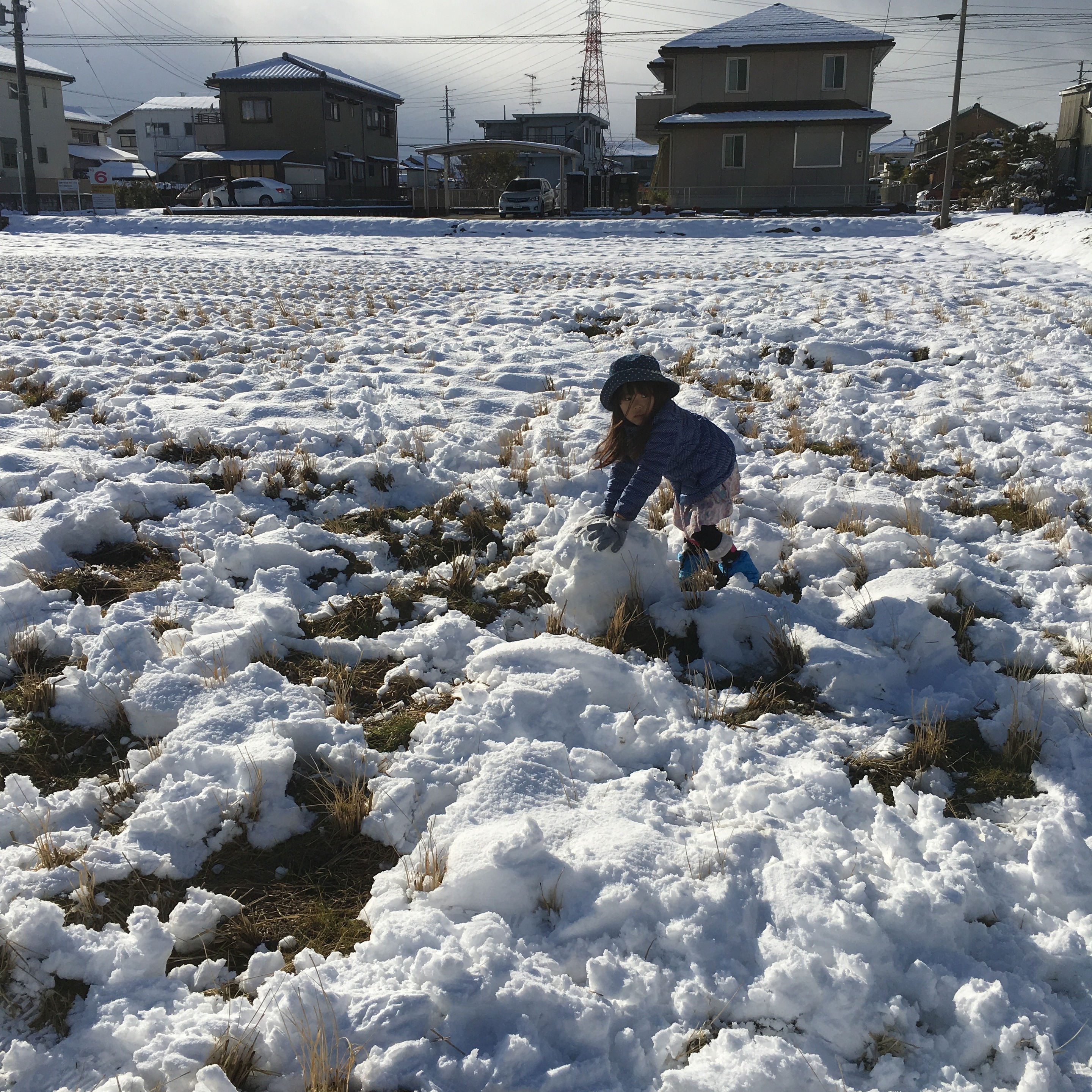 田舎、雪原